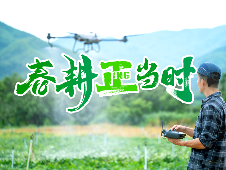 春耕正當時 | 綠色植保賦能，打贏春耕“攻堅戰(zhàn)”